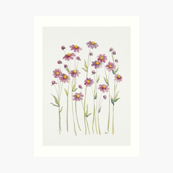 Pink Daisies Illustration Art Print