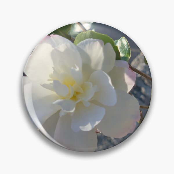 Item preview, Stop and Smell the Roses, Japenese Garden, Nurrangingy NSW Australia designed and sold by jaydedesigns.