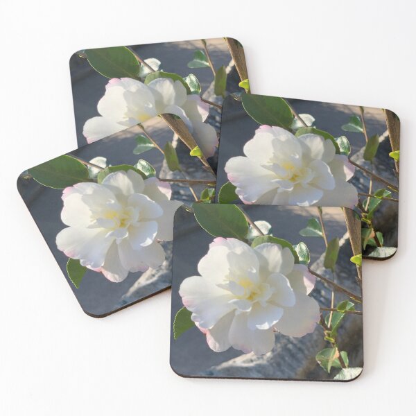 Item preview, Stop and Smell the Roses, Japenese Garden, Nurrangingy NSW Australia designed and sold by jaydedesigns.