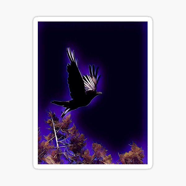 Raven over the Mesa Sticker