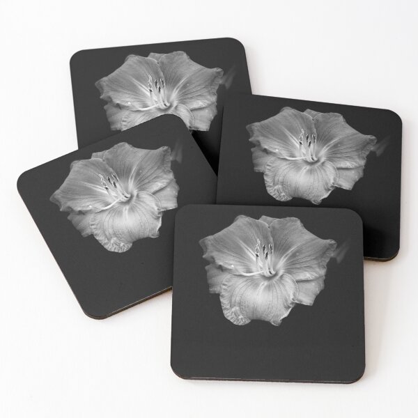 Item preview, Black & White Beauty designed and sold by JuniorGM.