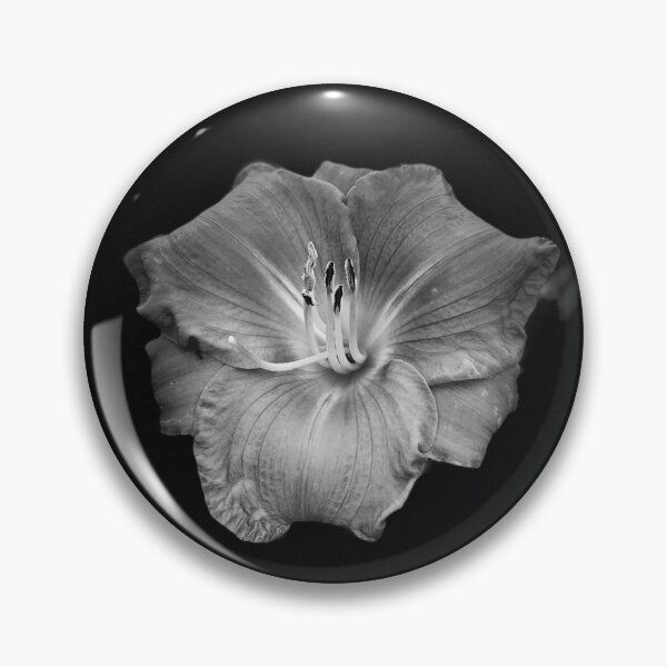 Item preview, Black & White Beauty designed and sold by JuniorGM.