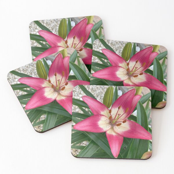 Item preview, Pink Asiatic Lily designed and sold by FeelingArty.
