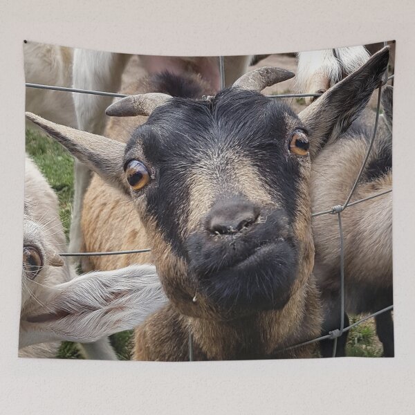 Item preview, Silly Goat designed and sold by Elsabe Smith.