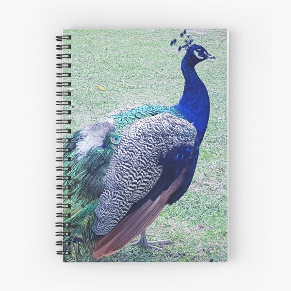 Item preview, Peacock designed and sold by Elsabe Smith.