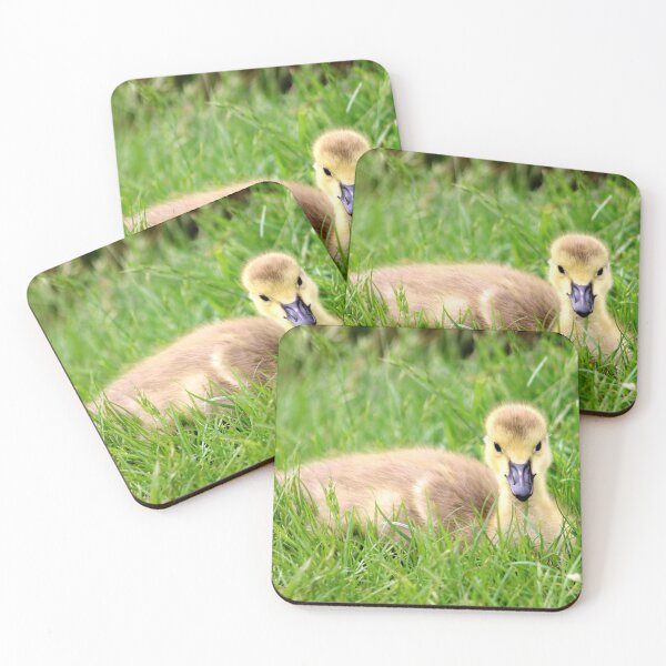 Item preview, Cuteness Overload designed and sold by MarkGoughImages.