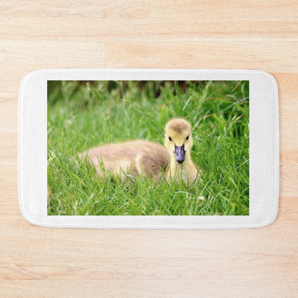 Item preview, Cuteness Overload designed and sold by MarkGoughImages.