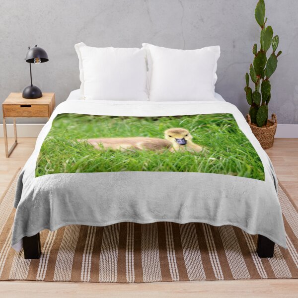 Item preview, Cuteness Overload designed and sold by MarkGoughImages.