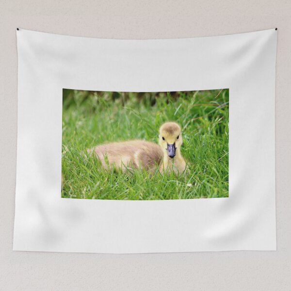 Item preview, Cuteness Overload designed and sold by MarkGoughImages.