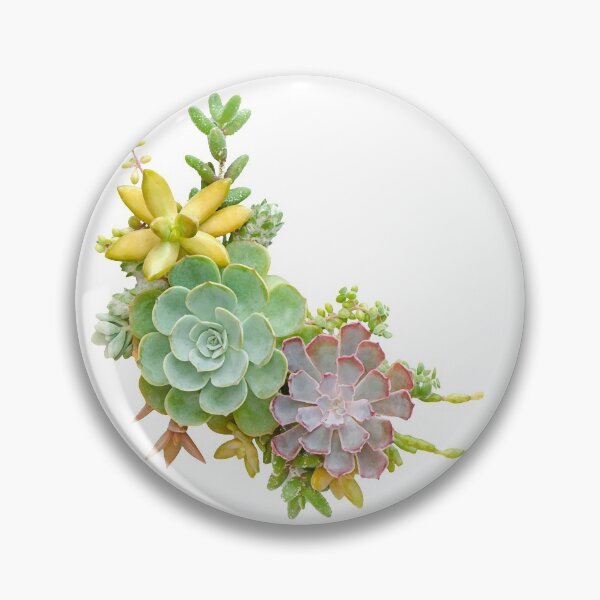 Item preview, Succulent Frame  designed and sold by panattar.
