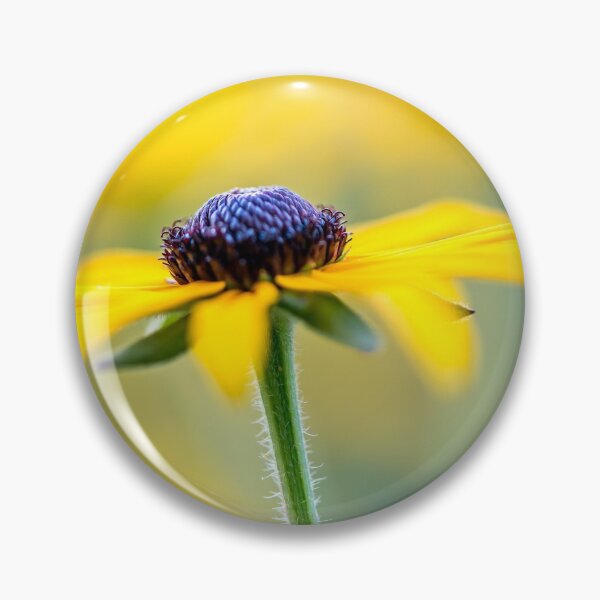 Item preview, yellow chamomile with black heart designed and sold by filon19931.
