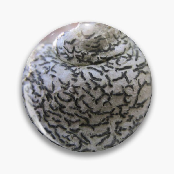 Item preview, Script lichen 2 designed and sold by Lolabloodflower.
