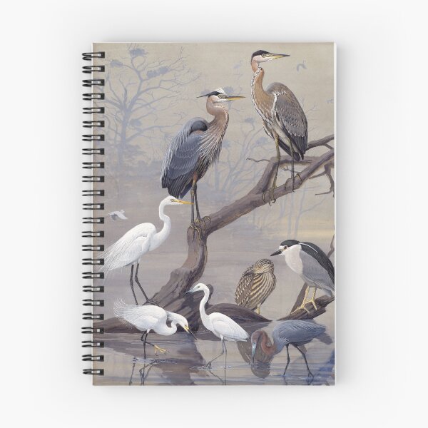 Item preview, Great Blue Heron, American Egret by Fuertes designed and sold by nextstepdesigns.