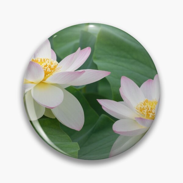 Item preview, The Pink Lotus flowers, perfect relationship, Feng Shui celebration designed and sold by TJ Devadatta Best.