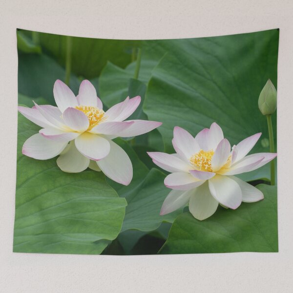 Item preview, The Pink Lotus flowers, perfect relationship, Feng Shui celebration designed and sold by TJ Devadatta Best.