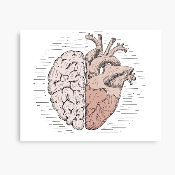 Wandbilder Gehirn Und Herz Redbubble
