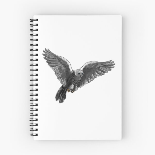 Aperçu de l'œuvre Vol de hibou créée et vendue par timteague.