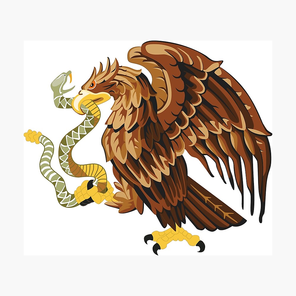 Póster «águila comiendo una serpiente» de khalidTshirt | Redbubble