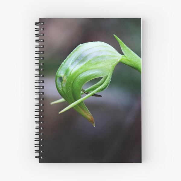 Item preview, Silent Contemplation designed and sold by Keren Smithies.