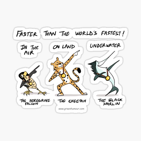 Animals Faster than Usain Bolt Sticker