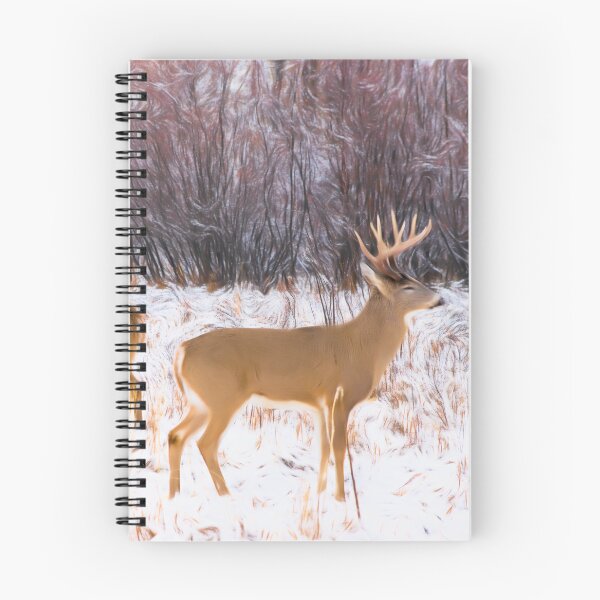 Item preview, Deer illustration designed and sold by CanadianWild418.