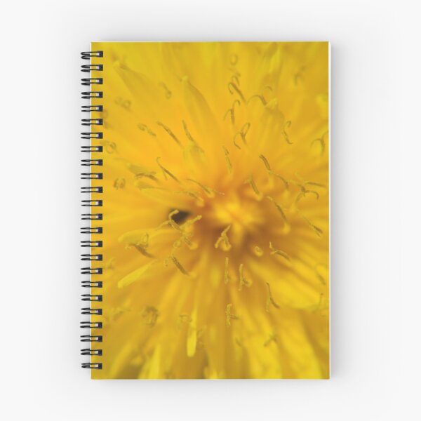 Item preview, Dandelions up close. Macro photography designed and sold by Fotogreasy.