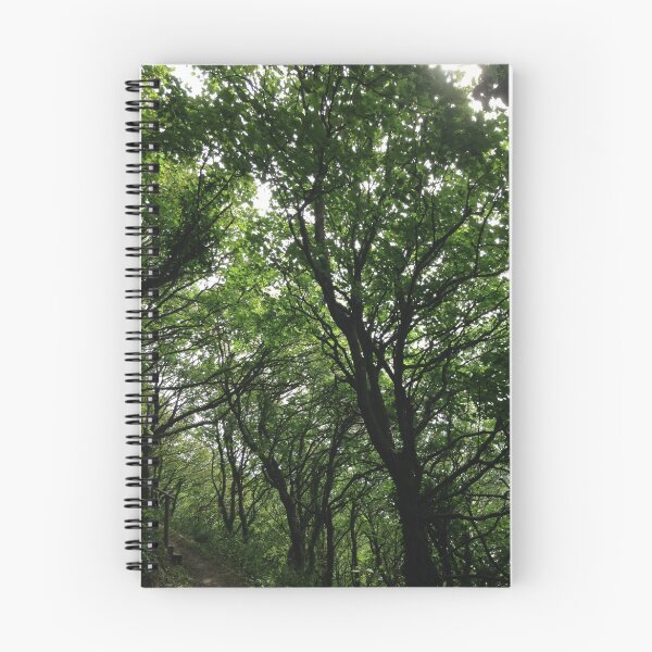 Aperçu de l'œuvre Chemin de la forêt. créée et vendue par SpicedAlien.