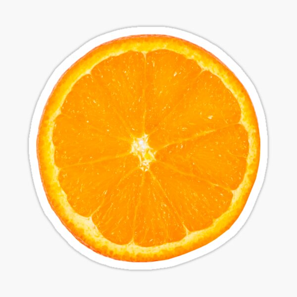 Orange Fruit- summer Sticker