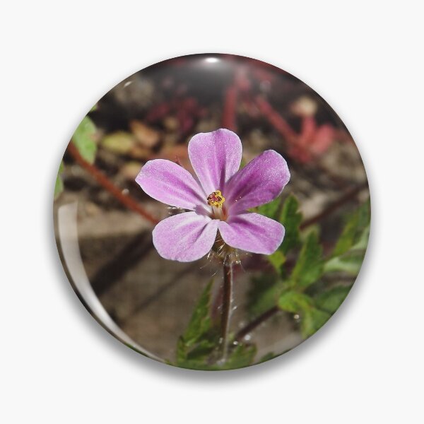 Item preview, Herb Robert  designed and sold by RuralExotic.