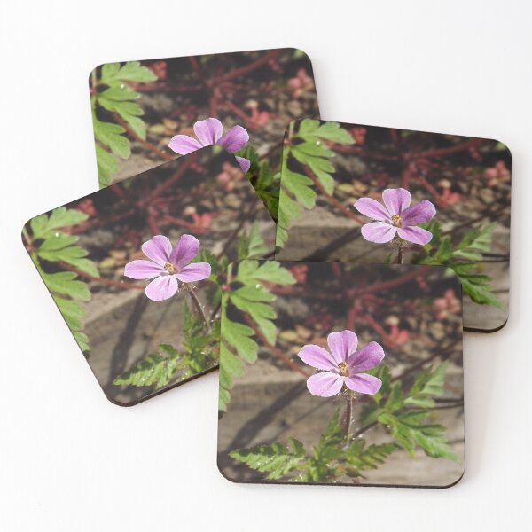 Item preview, Herb Robert  designed and sold by RuralExotic.