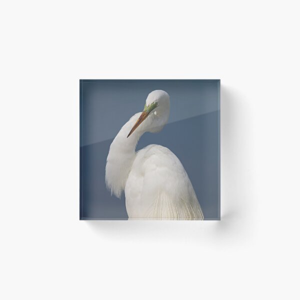 Item preview, The Buzzkill of Pragmatism designed and sold by Michiale.