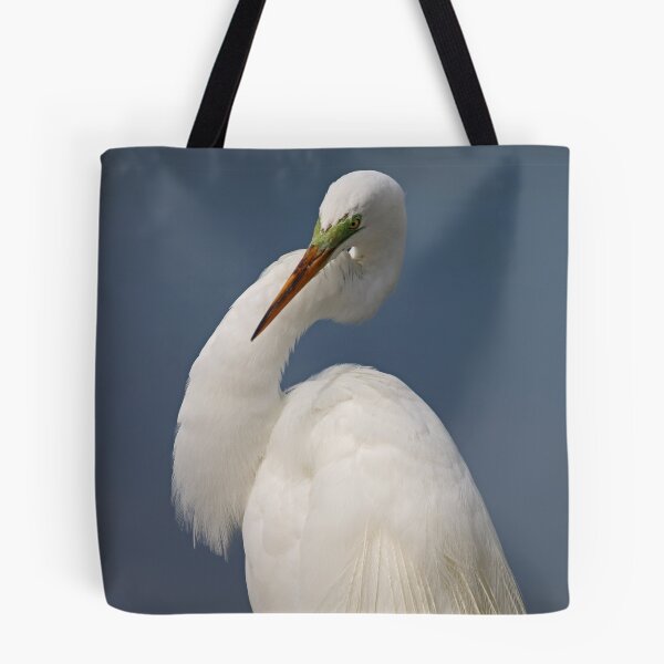 Item preview, The Buzzkill of Pragmatism designed and sold by Michiale.