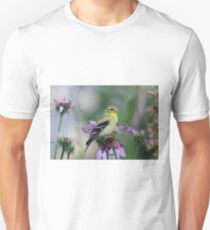 Camiseta unisex Jilguero americano - hembra