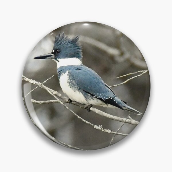 Item preview, Hunter Above a Pond: Belted Kingfisher designed and sold by David3209.