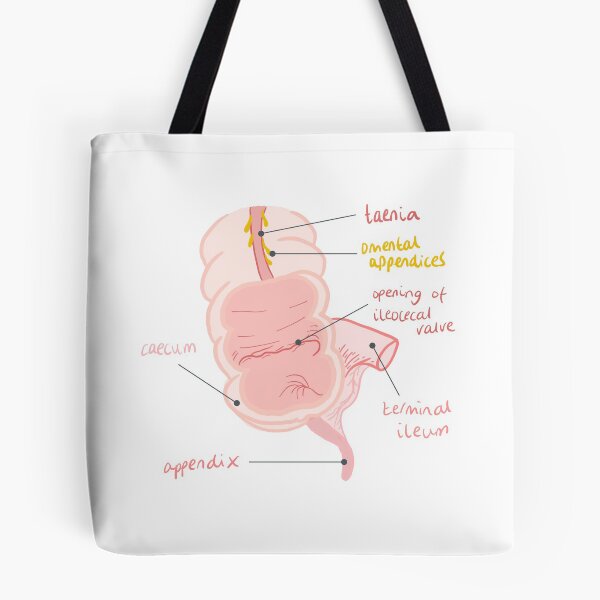 Artikelvorschau, Anatomie des Blinddarms entworfen und verkauft von thesmileymedic.