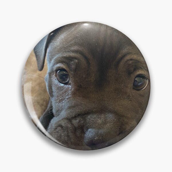 Item preview, Pitbull Puppy designed and sold by NaturePet.