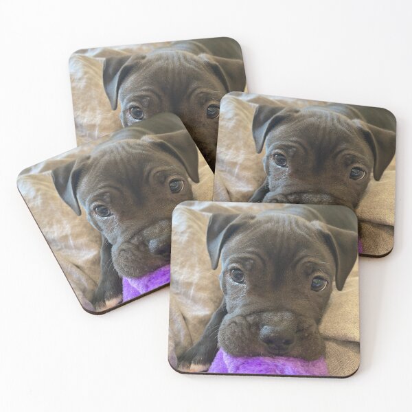 Item preview, Pitbull Puppy designed and sold by NaturePet.