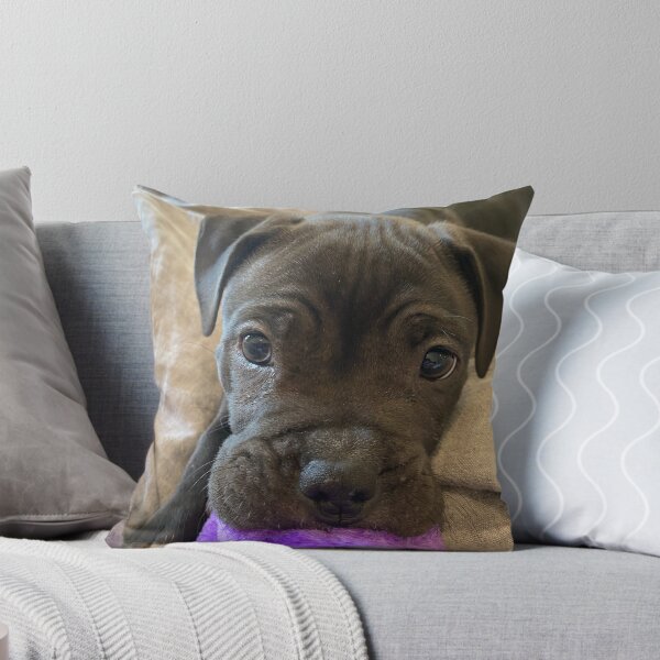 Item preview, Pitbull Puppy designed and sold by NaturePet.