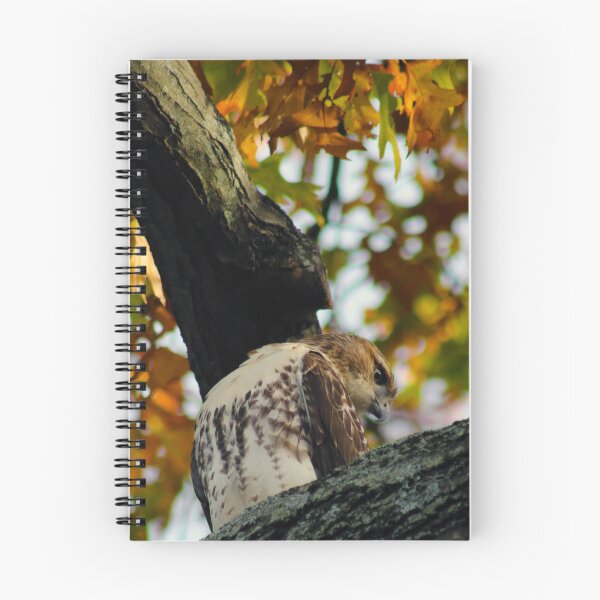 Item preview, Spying designed and sold by Kerri Ann McClellan.