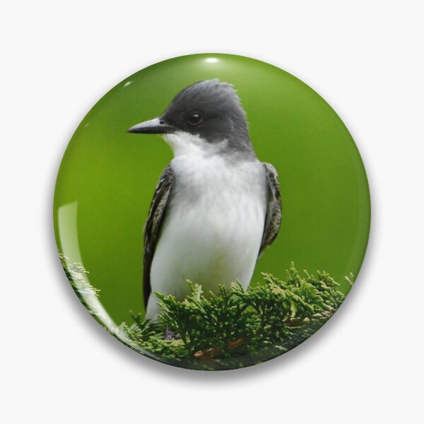Item preview, On a Bough: Eastern Kingbird designed and sold by David3209.