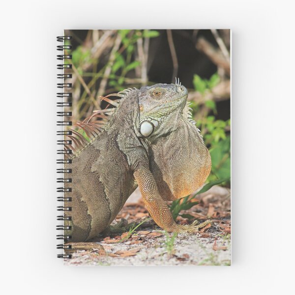 Item preview, Travel Lightly designed and sold by Michiale.