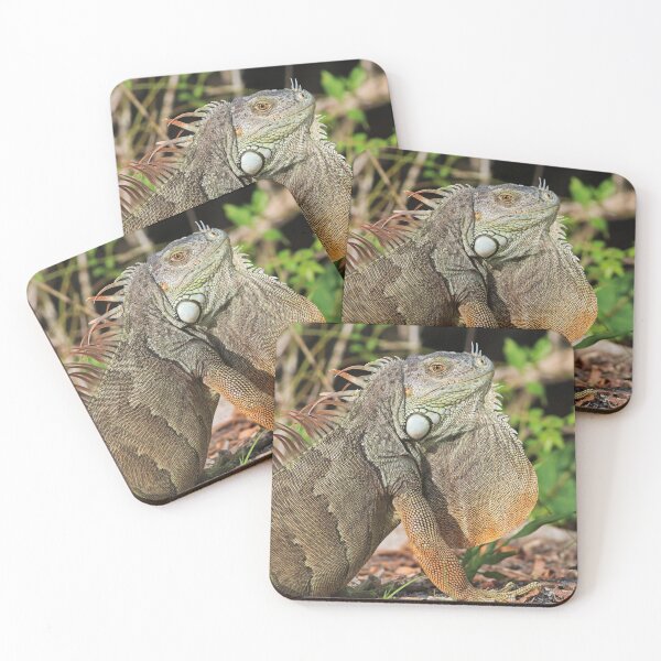Item preview, Travel Lightly designed and sold by Michiale.