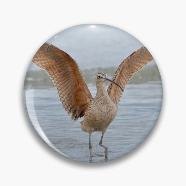 Item preview, Wingéd On the Beach! designed and sold by David3209.