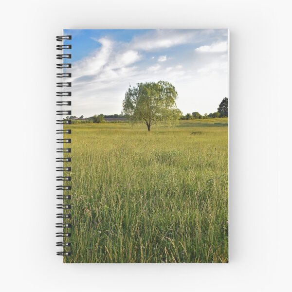 Item preview, Weeping Willow Tree In A Green Field designed and sold by SEEphotos7171.