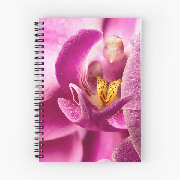 Item preview, Peeping Phalaenopsis 02 designed and sold by Weston  Westmoreland.