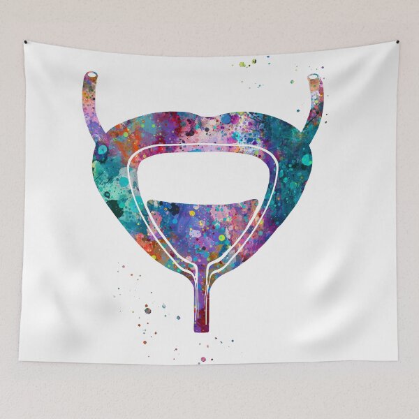 Item preview, Bladder Urinary System Anatomy designed and sold by EvasDreams.