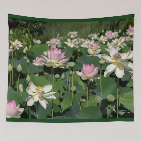 Item preview, Pond with Abundance of Pink and White Lotus Flowers designed and sold by TJ Devadatta Best.