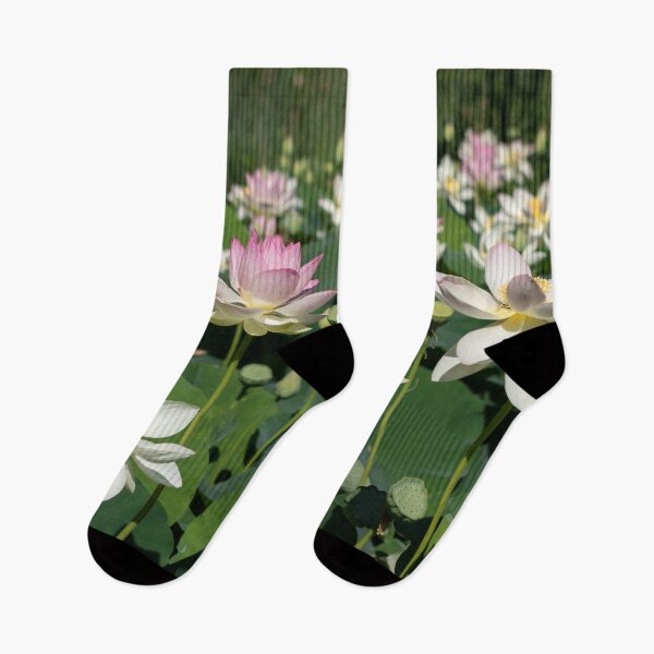 Item preview, Pond with Abundance of Pink and White Lotus Flowers designed and sold by TJ Devadatta Best.