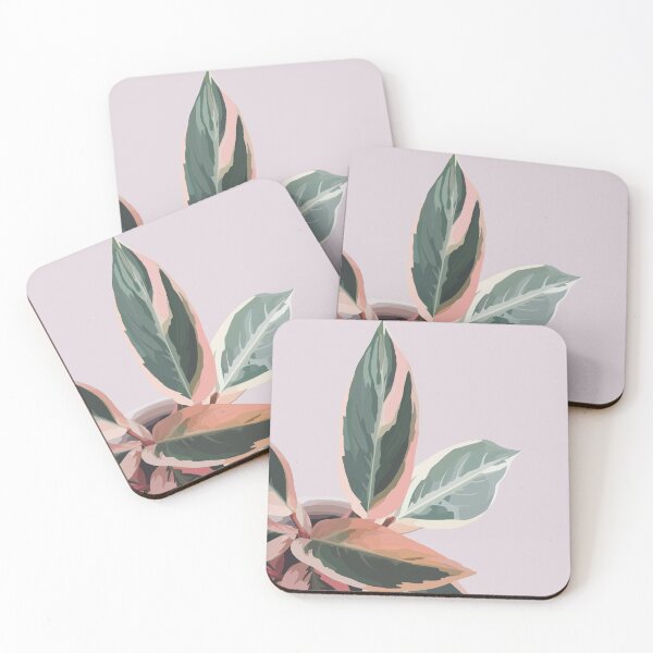 Item preview, Stromanthe Triostar Plant designed and sold by Itika Bhattacharjee.