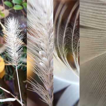 Artwork thumbnail, nature 4 in 1 photo by artherapieca
